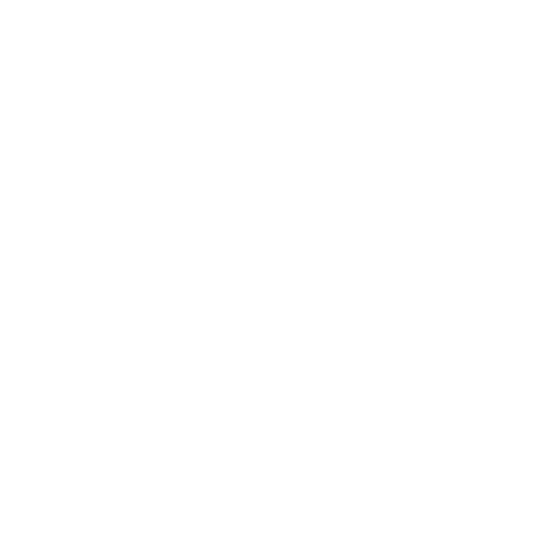 Botfolio Logo